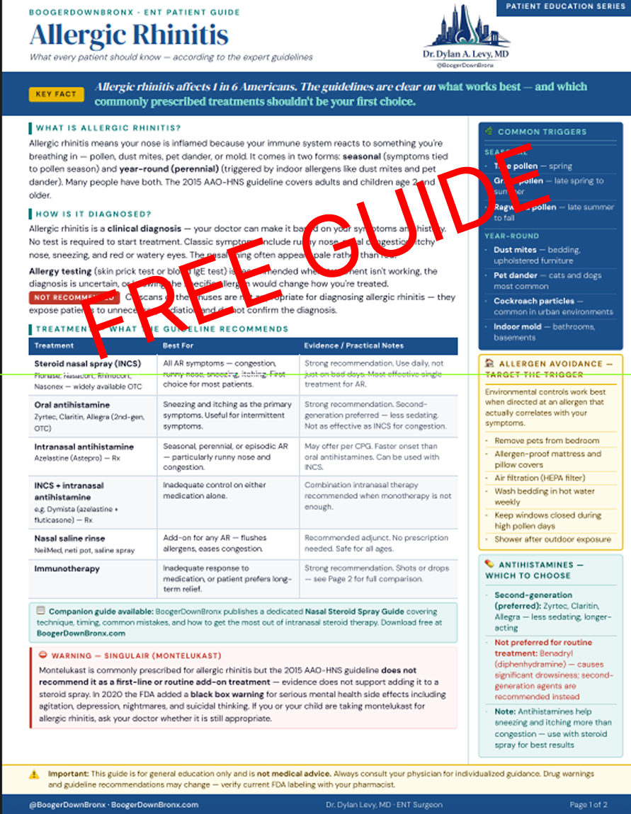The Allergic Rhinitis Guide